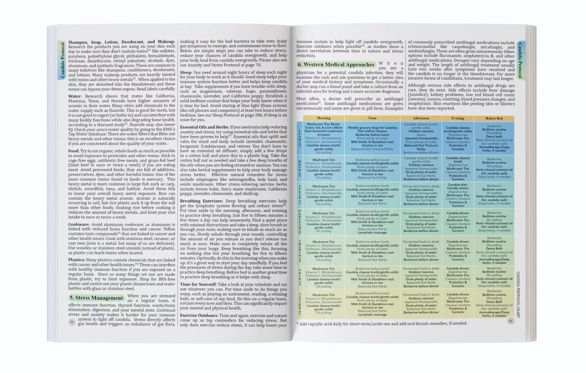 The Holistic Guide To Wellness - Herbal Wellness Guide บทวิจารณ์และราคา