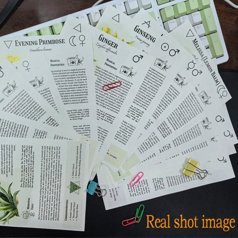 Tincture Recipes Book Crafting - Herbal Wellness Guide บทวิจารณ์และราคา