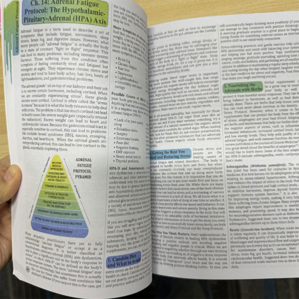 The Holistic Guide To Wellness - Herbal Wellness Guide บทวิจารณ์และราคา