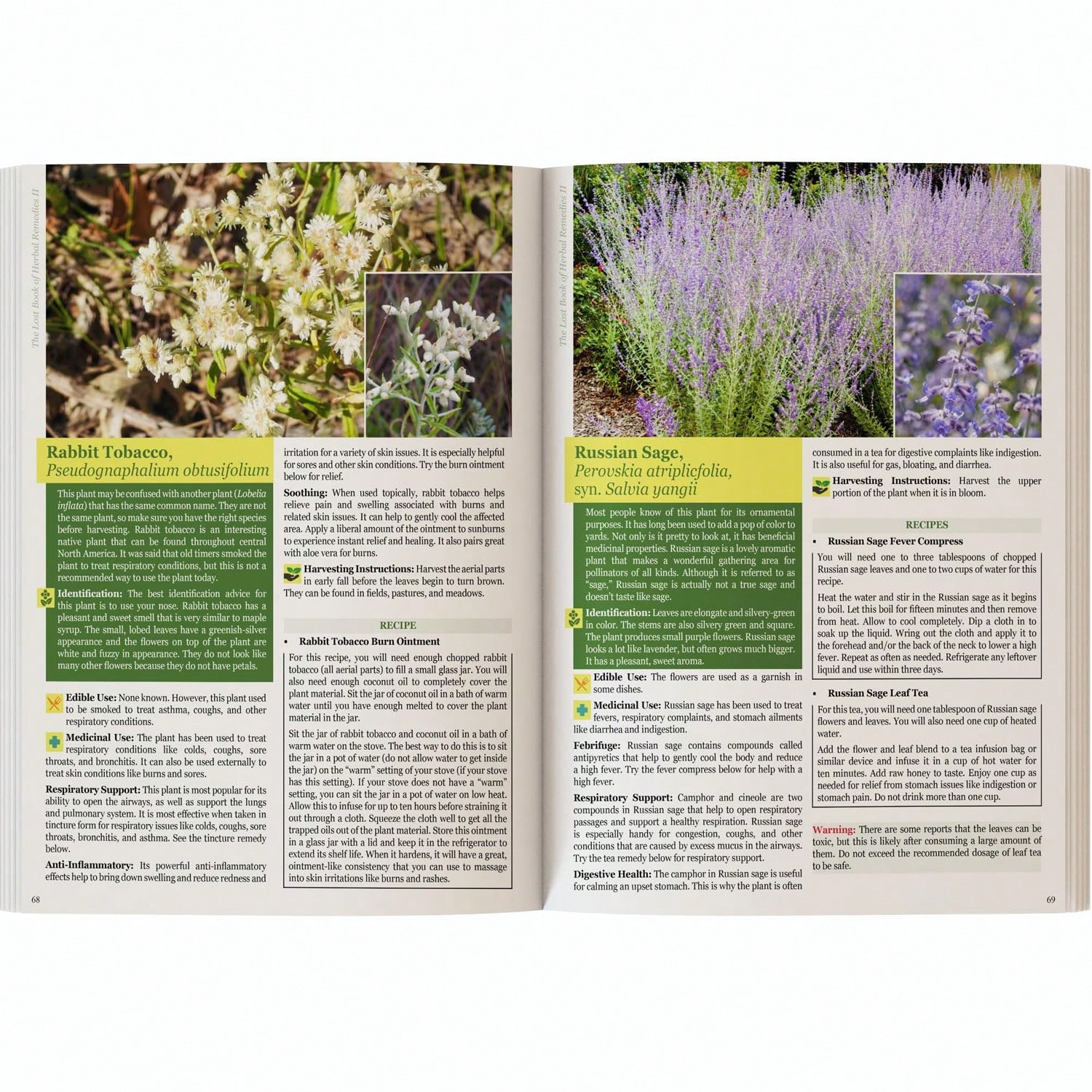 The Holistic Guide To Wellness - Herbal Wellness Guide บทวิจารณ์และราคา