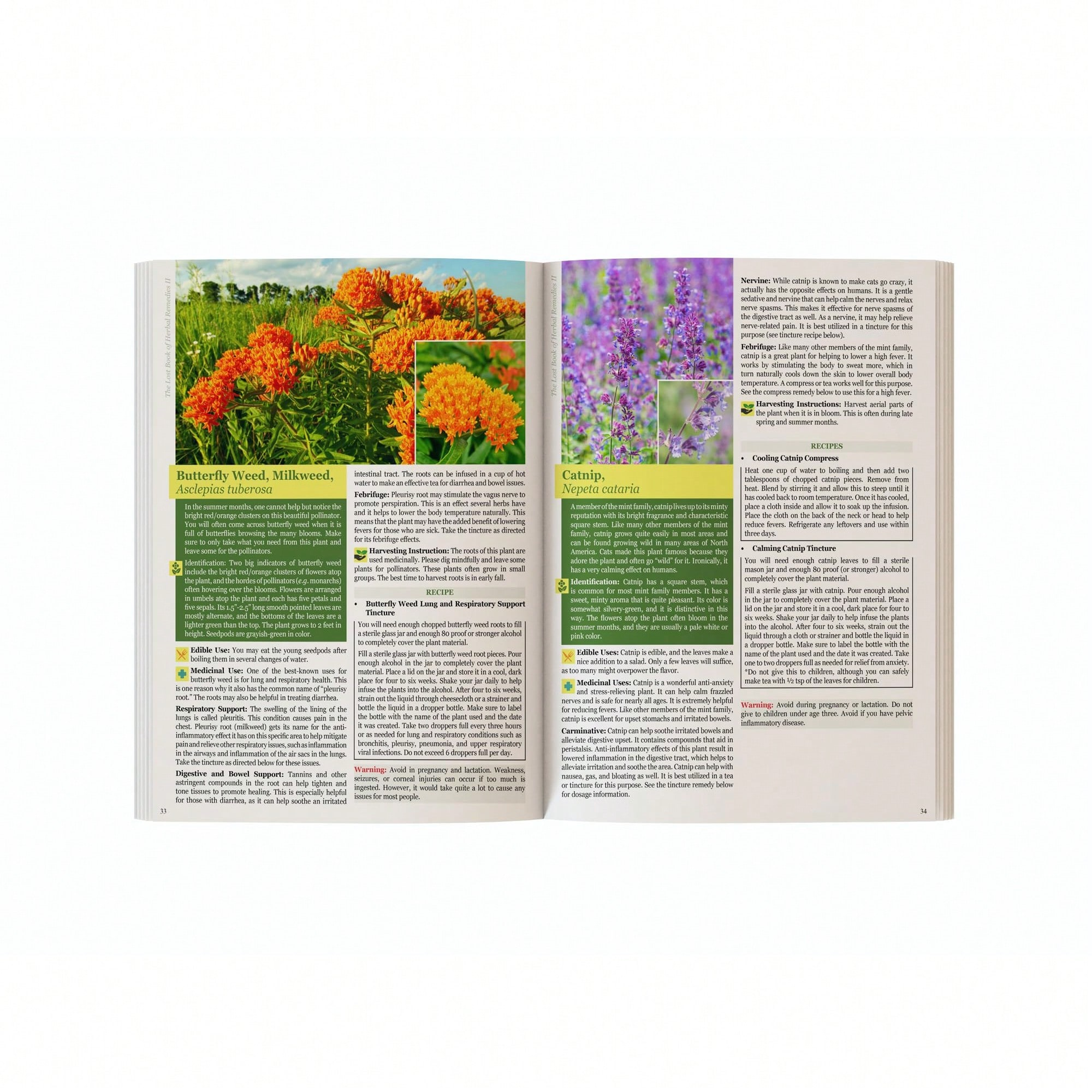 The Holistic Guide To Wellness - Herbal Wellness Guide บทวิจารณ์และราคา