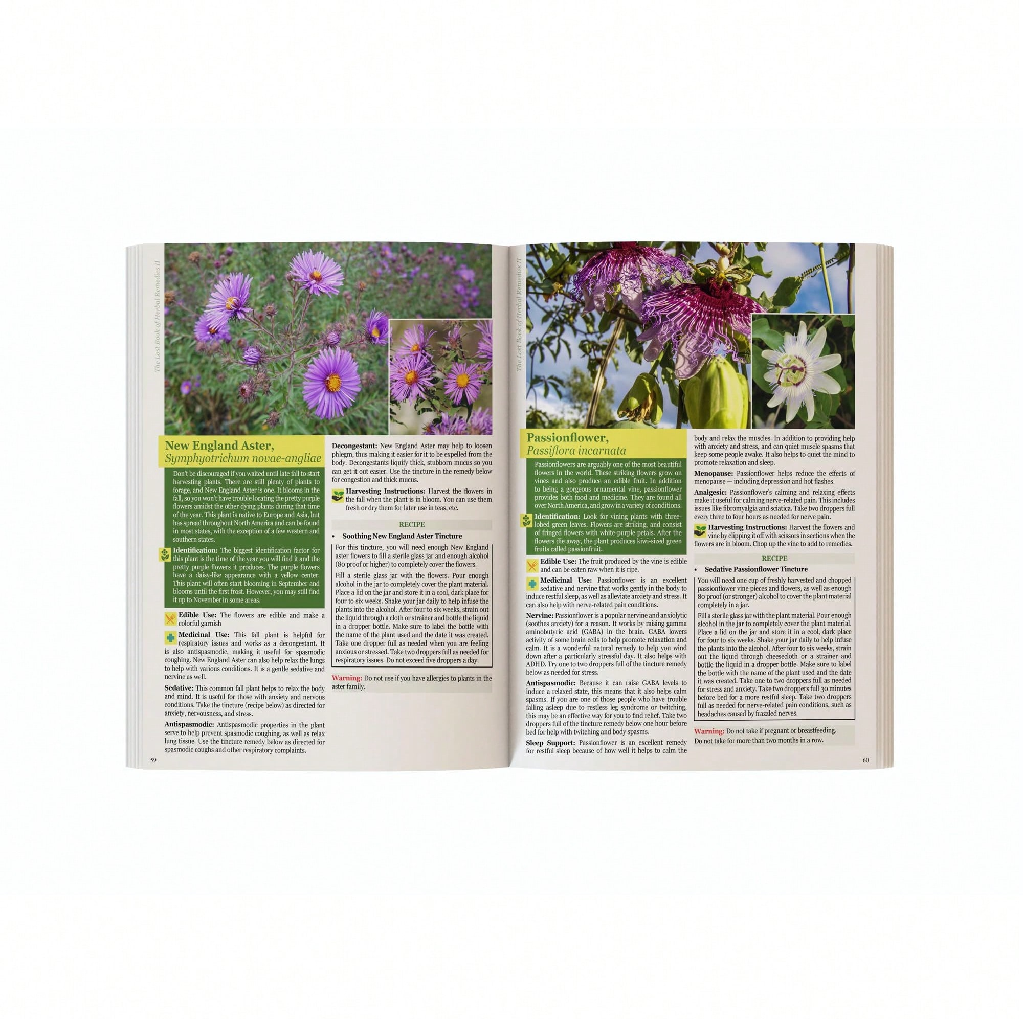 The Holistic Guide To Wellness - Herbal Wellness Guide บทวิจารณ์และราคา