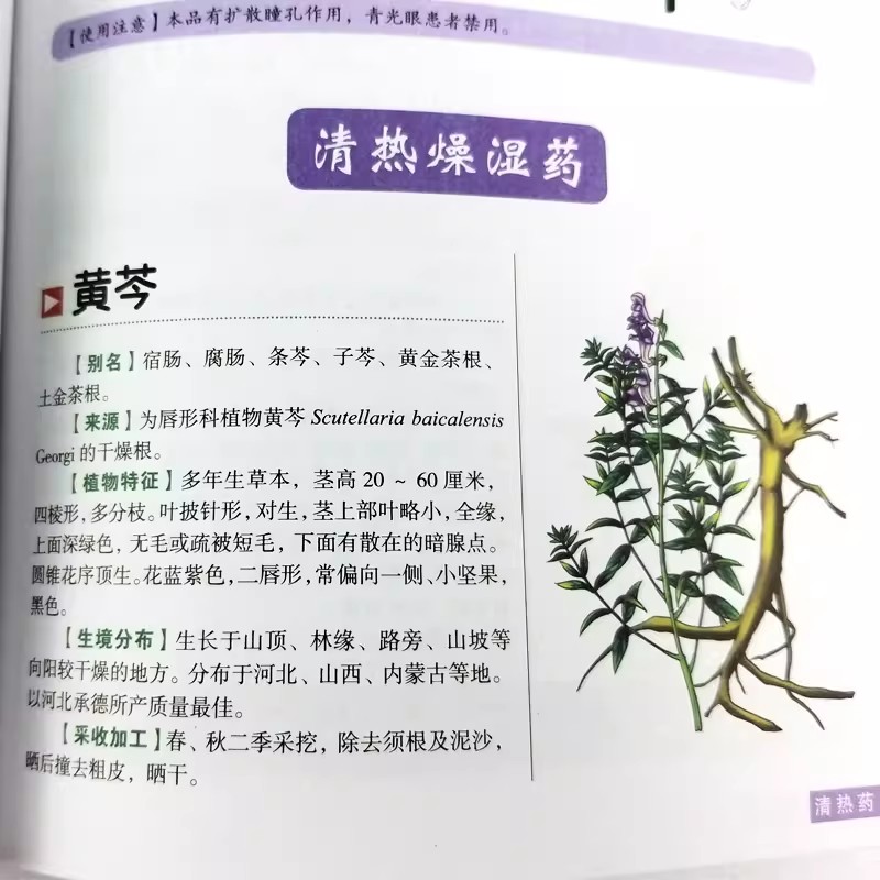 The Ancient Herbarium Holistic - Herbal Wellness Guide บทวิจารณ์และราคา